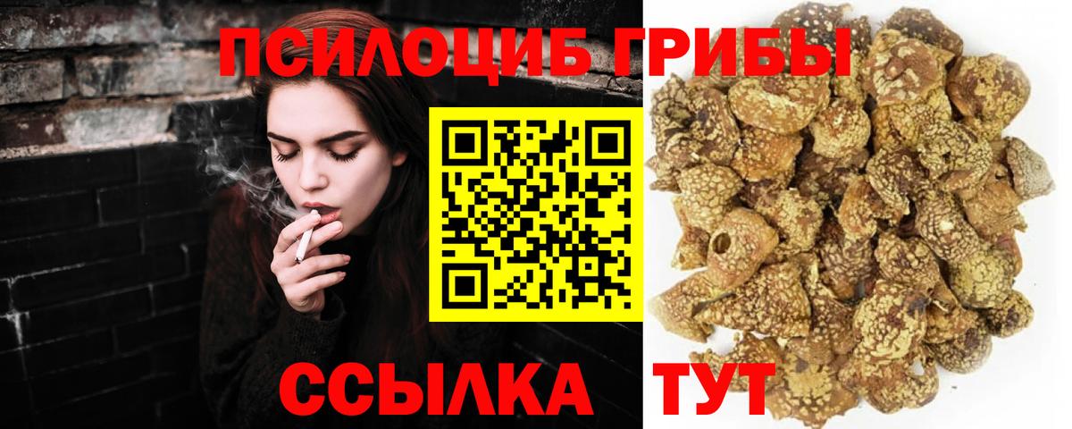 Псилоцибиновые грибы Psilocybe  Вход с VPN  Назарово 